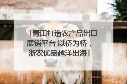 青田打造农产品出口展销平台 以侨为桥，浙农优品越洋出海