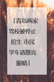 青岛两家驾校被停止招生 市民学车请擦亮眼睛