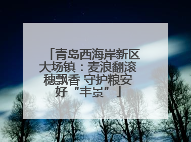 青岛西海岸新区大场镇：麦浪翻滚穗飘香 守护粮安好“丰景”