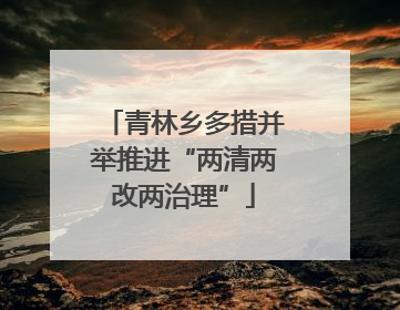 青林乡多措并举推进“两清两改两治理”