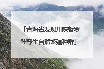 青海省发现川陕哲罗鲑野生自然繁殖种群