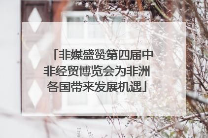 非媒盛赞第四届中非经贸博览会为非洲各国带来发展机遇