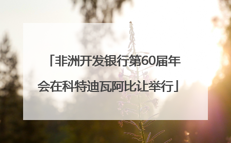 非洲开发银行第60届年会在科特迪瓦阿比让举行