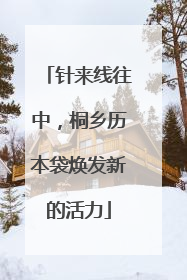 针来线往中，桐乡历本袋焕发新的活力