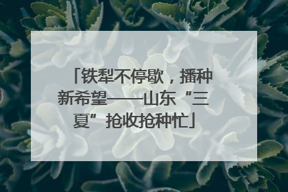 铁犁不停歇，播种新希望——山东“三夏”抢收抢种忙