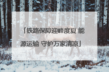 铁路保障迎峰度夏 能源运输 守护万家清凉
