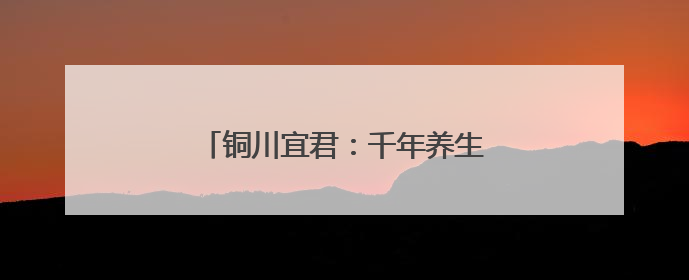 铜川宜君：千年养生智慧烹出时代新滋味