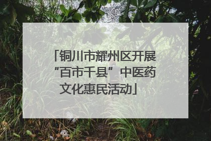 铜川市耀州区开展“百市千县”中医药文化惠民活动
