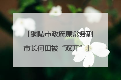 铜陵市政府原常务副市长何田被“双开”