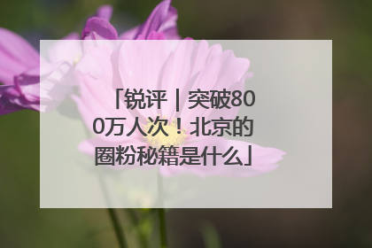 锐评｜突破800万人次！北京的圈粉秘籍是什么
