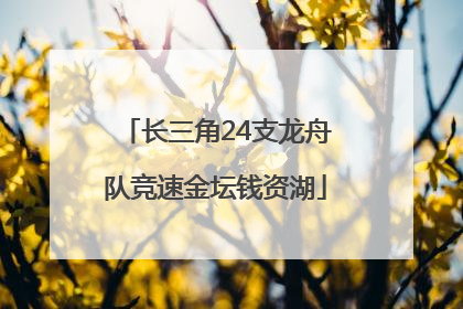 长三角24支龙舟队竞速金坛钱资湖
