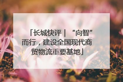 长城快评｜“向智”而行，建设全国现代商贸物流重要基地