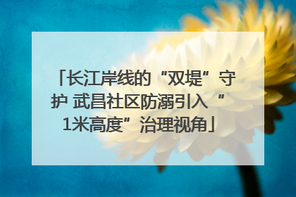 长江岸线的“双堤”守护 武昌社区防溺引入“1米高度”治理视角