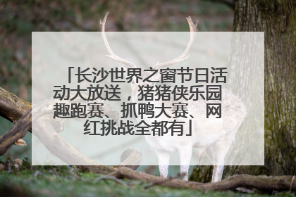 长沙世界之窗节日活动大放送，猪猪侠乐园趣跑赛、抓鸭大赛、网红挑战全都有