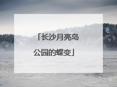 长沙月亮岛公园的蝶变