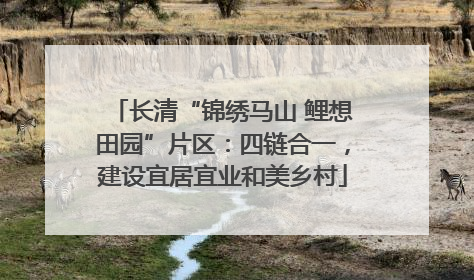 长清“锦绣马山 鲤想田园”片区：四链合一，建设宜居宜业和美乡村