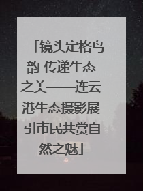 镜头定格鸟韵 传递生态之美——连云港生态摄影展引市民共赏自然之魅