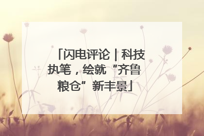 闪电评论｜科技执笔，绘就“齐鲁粮仓”新丰景