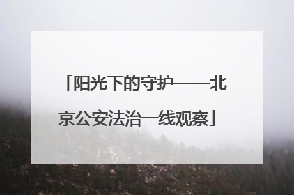 阳光下的守护——北京公安法治一线观察