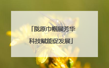 陇原巾帼展芳华 科技赋能促发展