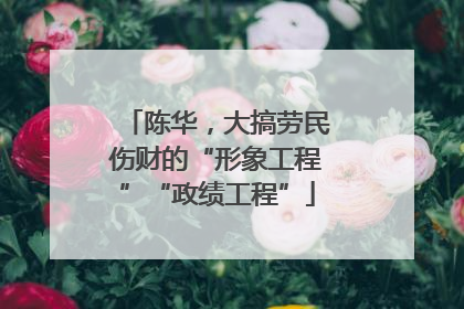 陈华，大搞劳民伤财的“形象工程”“政绩工程”