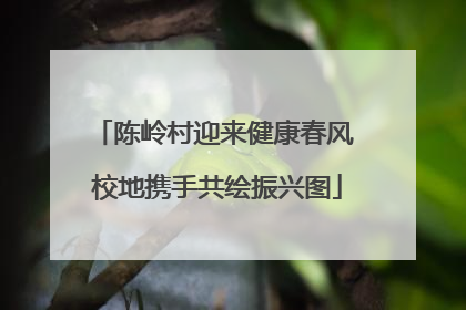 陈岭村迎来健康春风 校地携手共绘振兴图