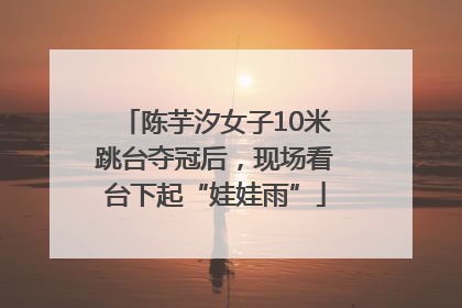 陈芋汐女子10米跳台夺冠后，现场看台下起“娃娃雨”