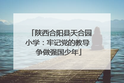 陕西合阳县天合园小学：牢记党的教导 争做强国少年