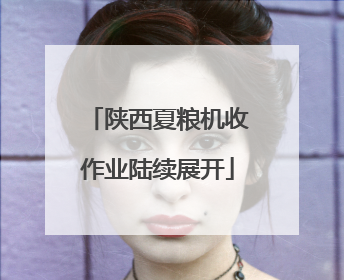 陕西夏粮机收作业陆续展开