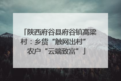 陕西府谷县府谷镇高梁村：乡货“触网出村” 农户“云端致富”