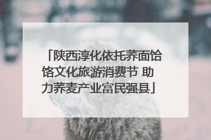 陕西淳化依托荞面饸饹文化旅游消费节 助力荞麦产业富民强县