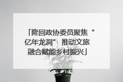 隆回政协委员聚焦“亿年龙洞” 推动文旅融合赋能乡村振兴