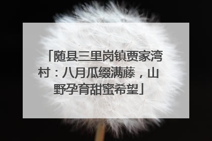 随县三里岗镇贾家湾村：八月瓜缀满藤，山野孕育甜蜜希望