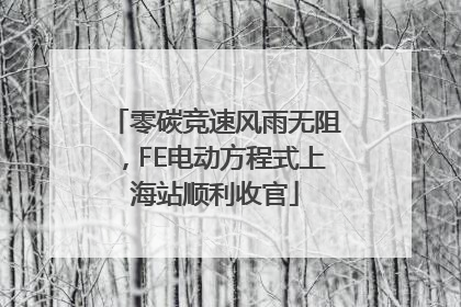 零碳竞速风雨无阻，FE电动方程式上海站顺利收官