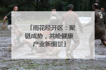 雨花经开区：聚链成势，共绘健康产业新图景