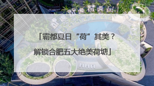 霸都夏日“荷”其美？解锁合肥五大绝美荷塘