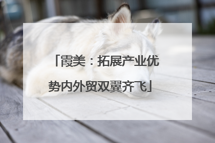 霞美：拓展产业优势内外贸双翼齐飞