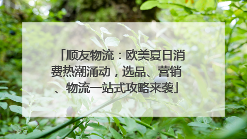 顺友物流：欧美夏日消费热潮涌动，选品、营销、物流一站式攻略来袭