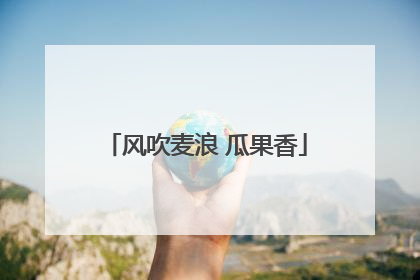 风吹麦浪 瓜果香
