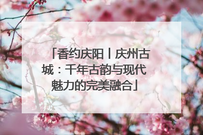 香约庆阳丨庆州古城：千年古韵与现代魅力的完美融合