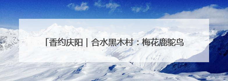 香约庆阳｜合水黑木村：梅花鹿鸵鸟共舞 文旅融合绘就“诗与远方”
