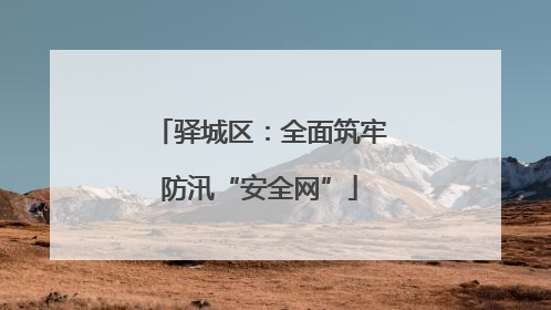 驿城区：全面筑牢防汛“安全网”