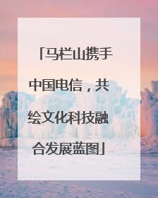 马栏山携手中国电信，共绘文化科技融合发展蓝图
