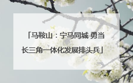 马鞍山：宁马同城 勇当长三角一体化发展排头兵