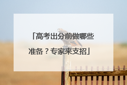 高考出分前做哪些准备？专家来支招