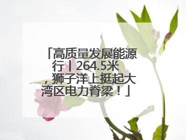 高质量发展能源行丨264.5米，狮子洋上挺起大湾区电力脊梁！