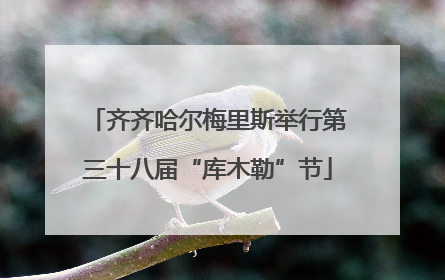 齐齐哈尔梅里斯举行第三十八届“库木勒”节