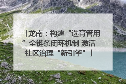 龙南：构建“选育管用”全链条闭环机制 激活社区治理“新引擎”