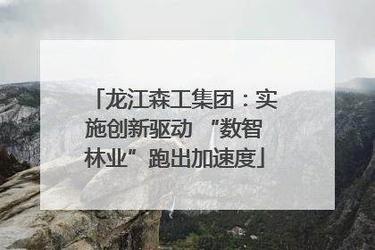 龙江森工集团：实施创新驱动 “数智林业”跑出加速度