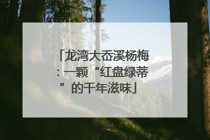 龙湾大岙溪杨梅：一颗“红盘绿蒂”的千年滋味